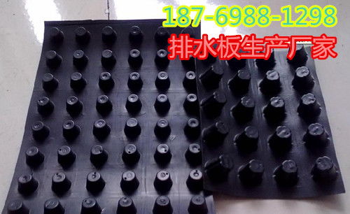 郑州排水板价格与厂家全解析 如何选对产品节省成本